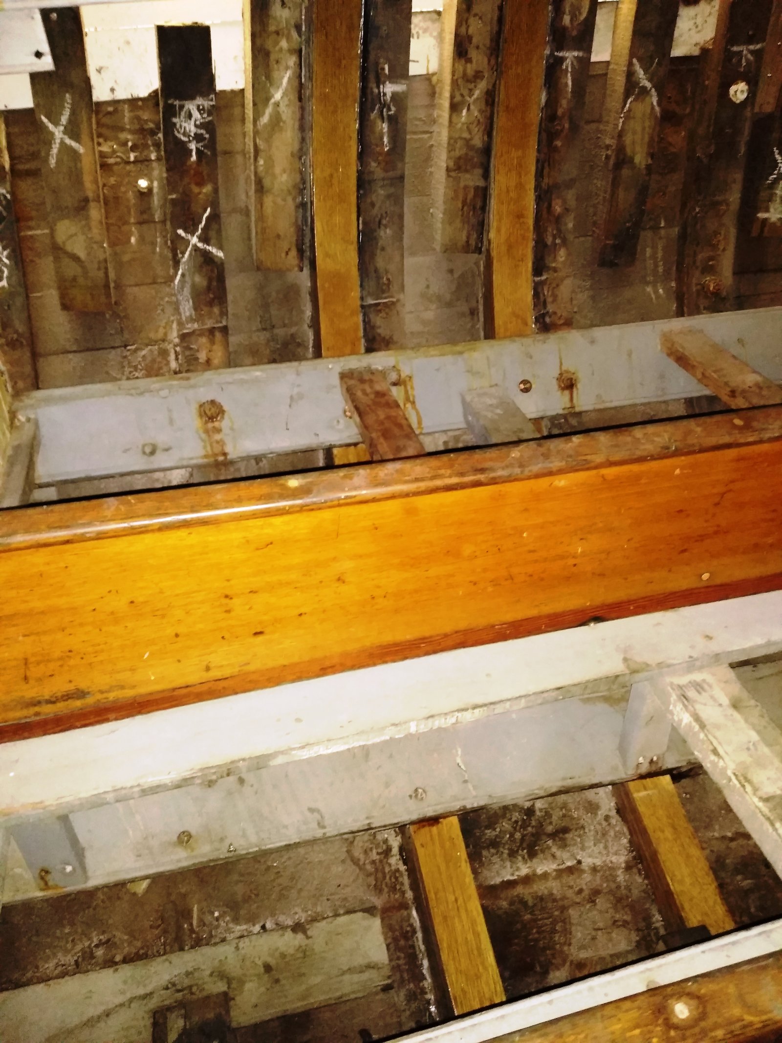 Interior view of Yankee's hull showing oak frames and planking